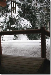 snow_frontdoor